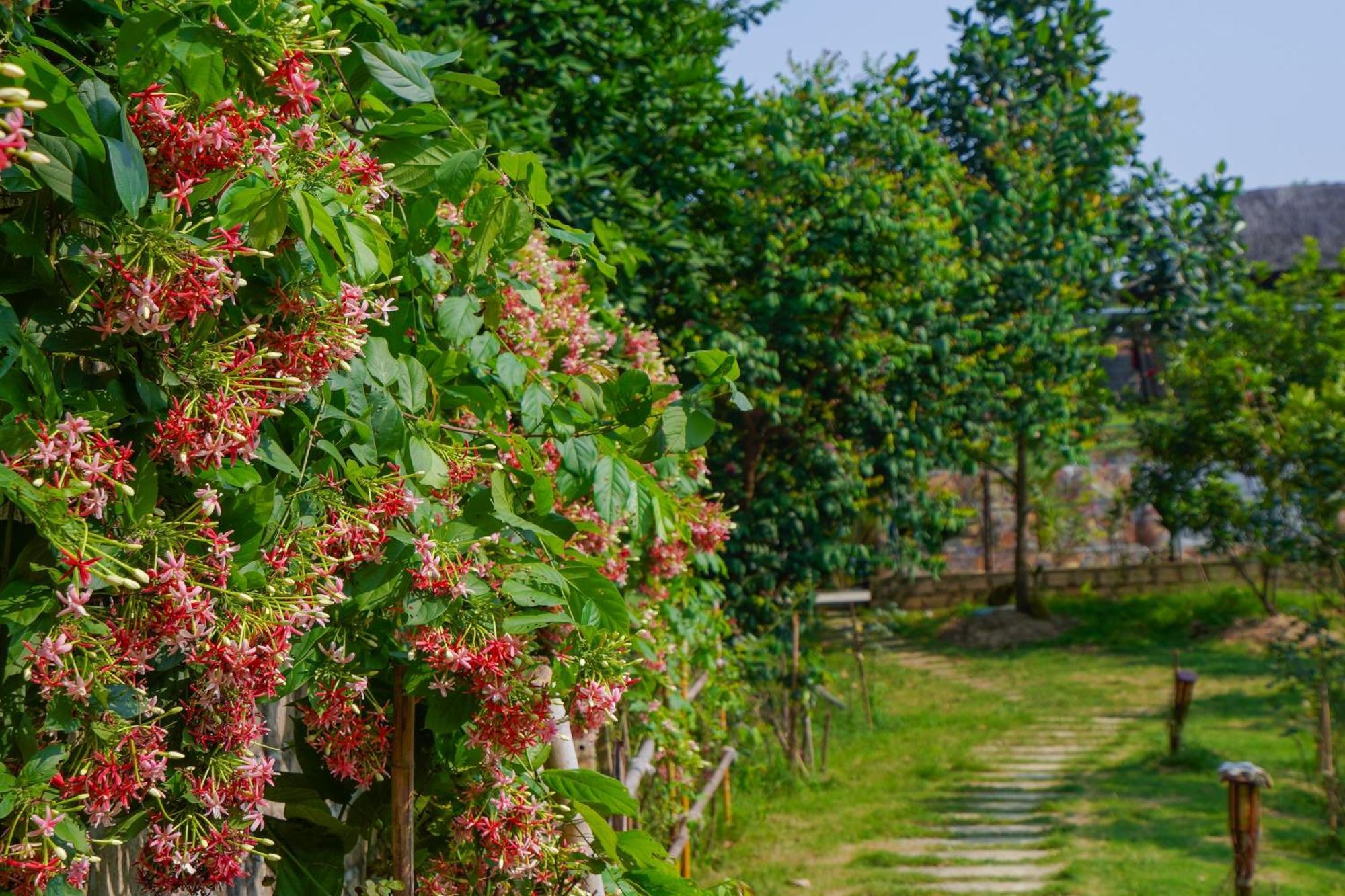 Little Bee House Hotel Trai Vang Екстериор снимка