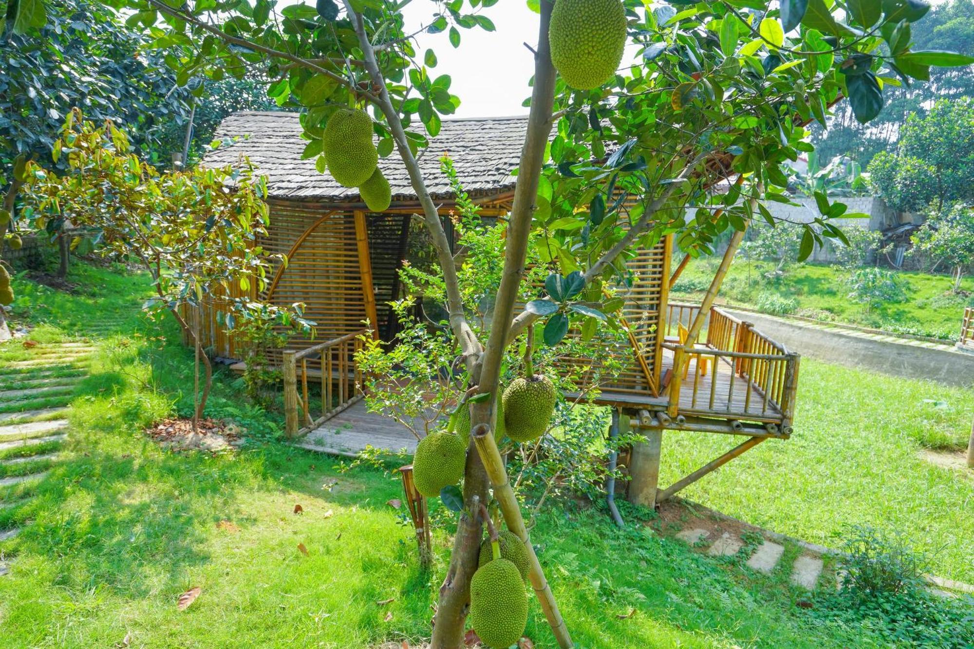 Little Bee House Hotel Trai Vang Екстериор снимка